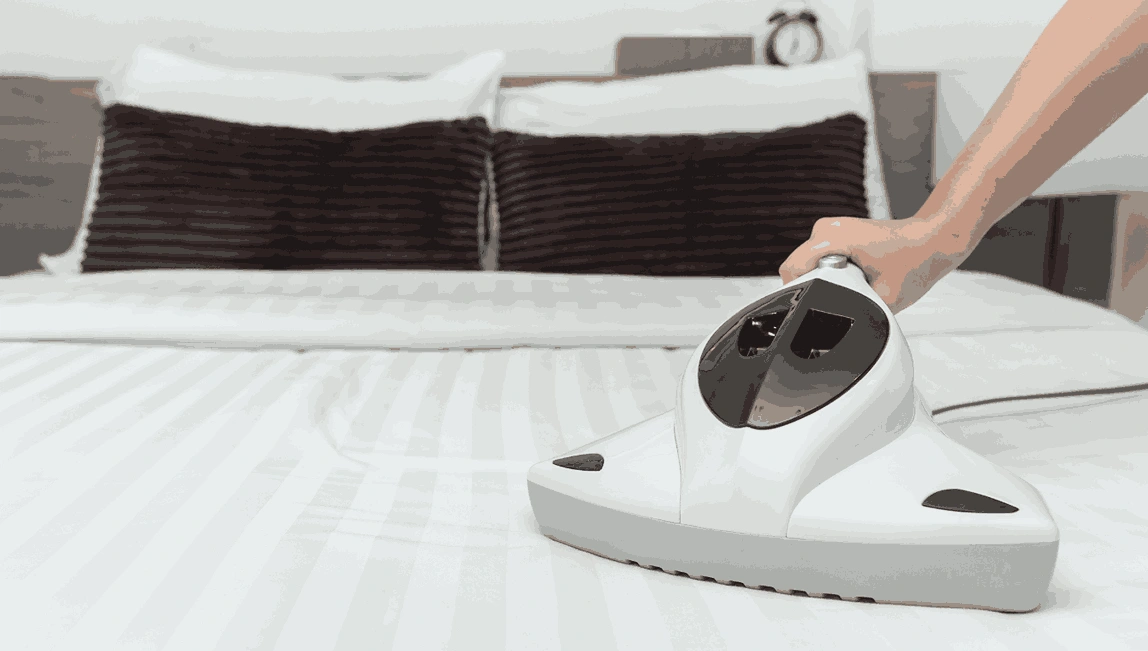 Professional Mattress Cleaning Seville